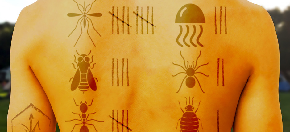 ¡Alerta con las picaduras de insectos! y sus posibles reacciones alérgicas